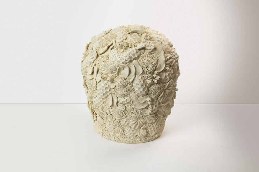 Beth Honoré, Wellington Subconscious, Stoneware